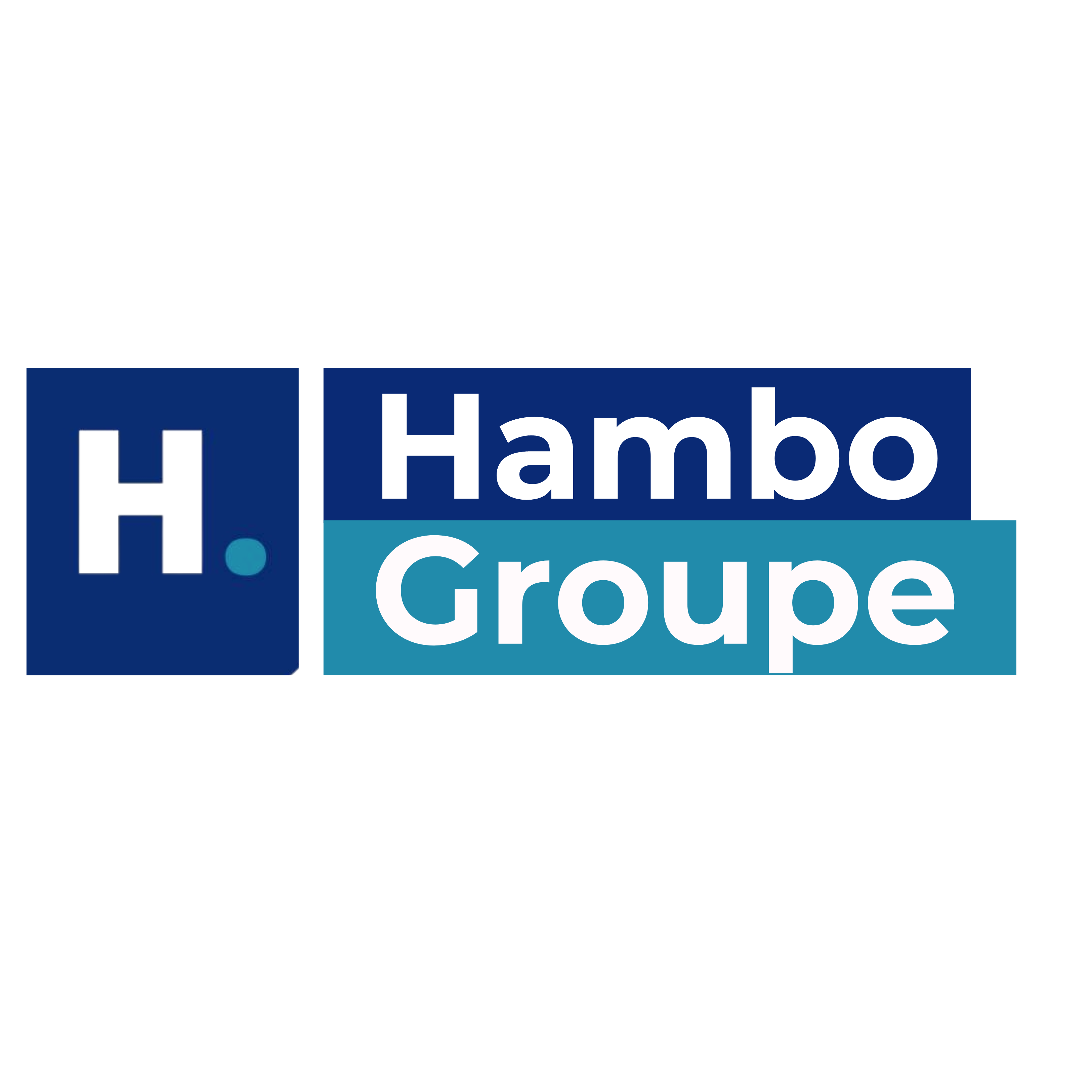 Hambo logo